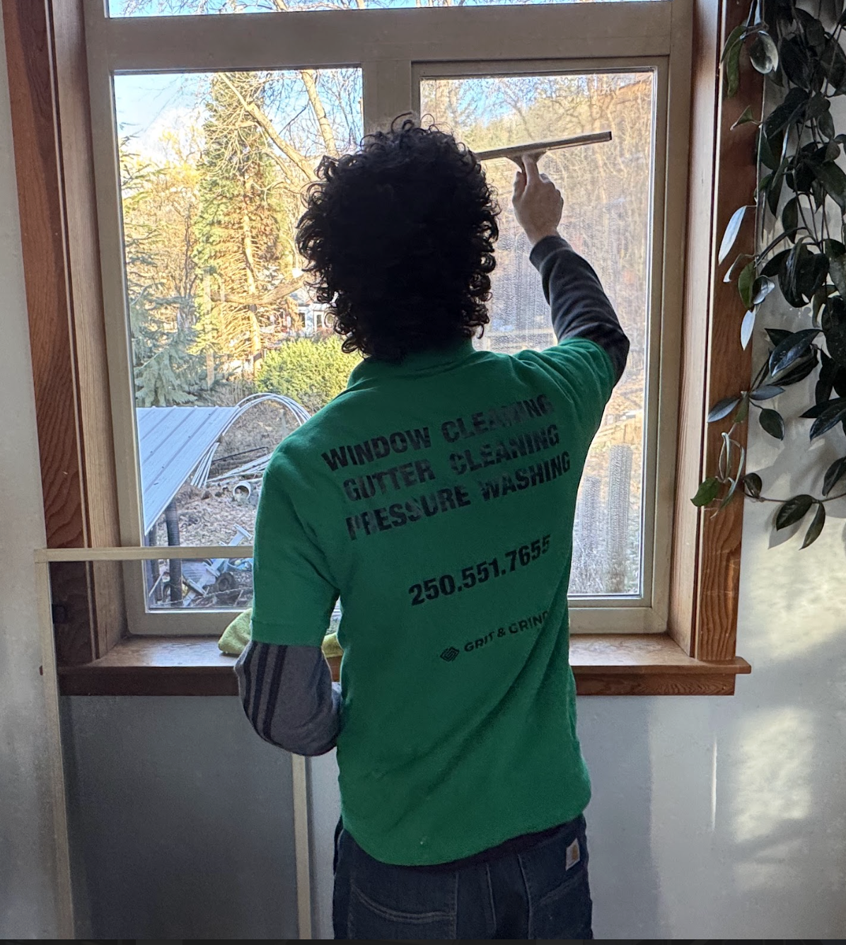 Commercial Window Cleaning