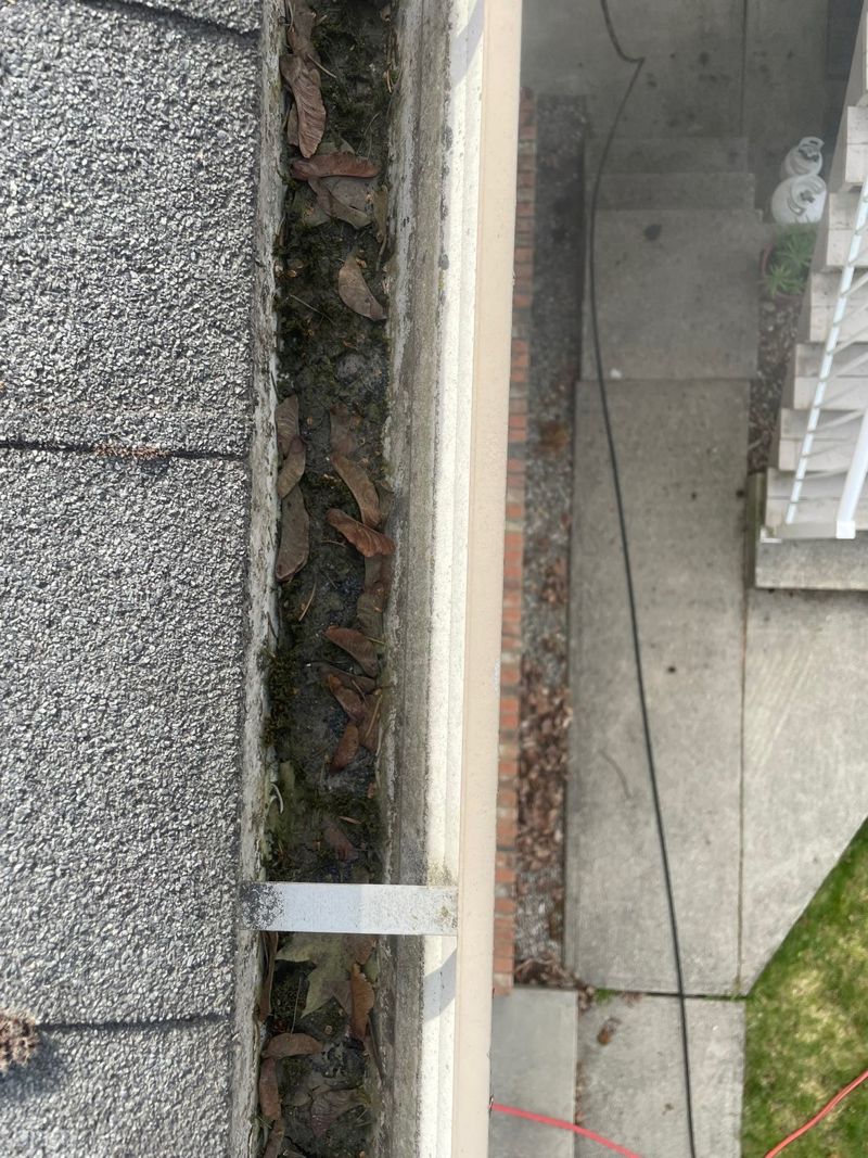 Our Residential Gutter Cleaning Services