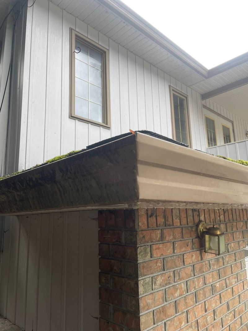 Downspout Cleaning