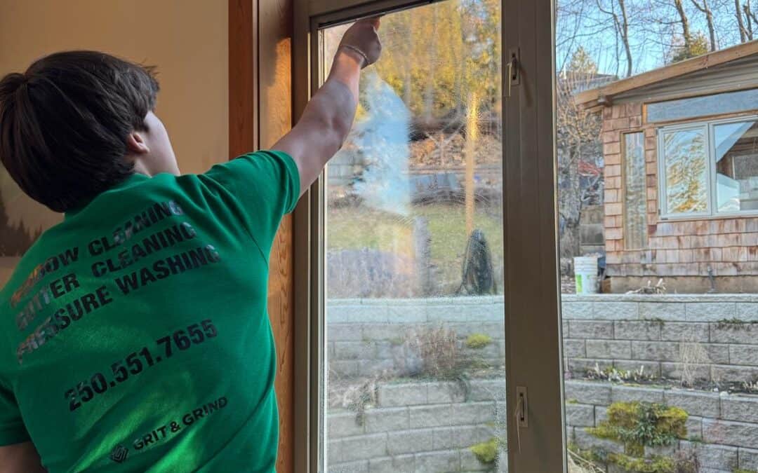 Best Time to Clean Your Windows: Spring Cleaning & More