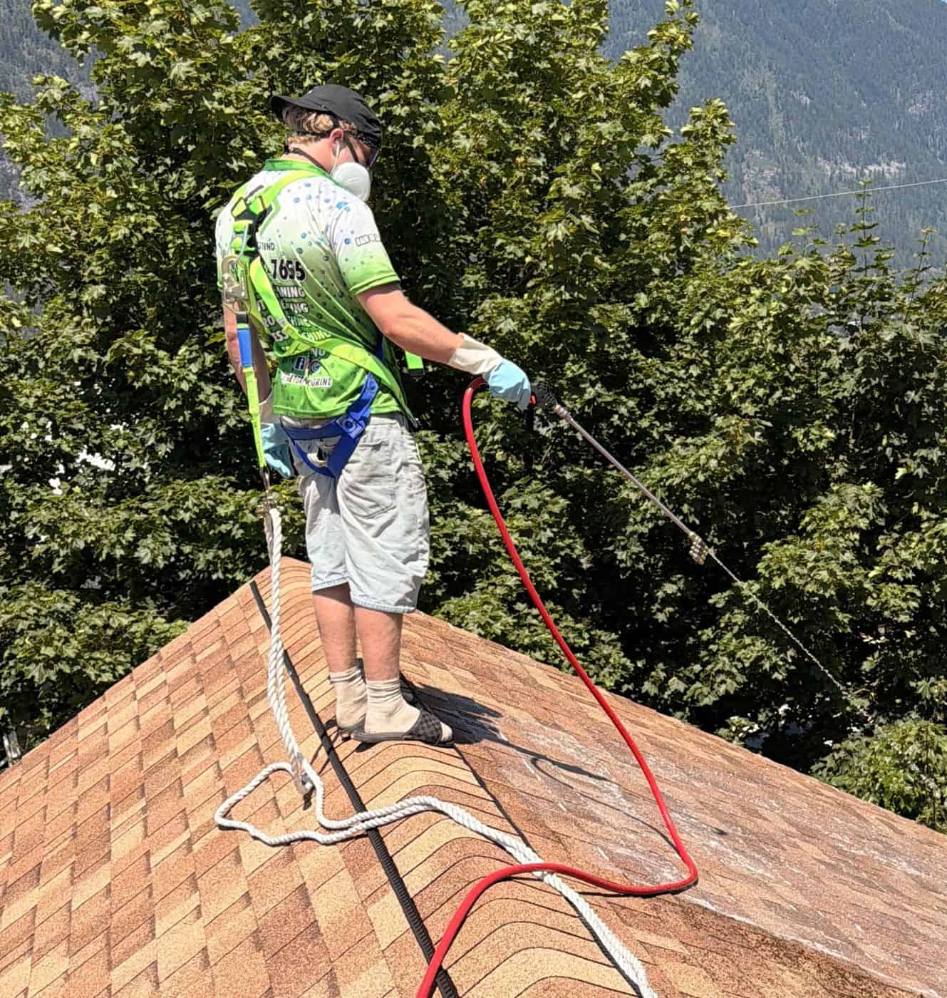 Roof cleaning and moss removal on a West Kootenay home