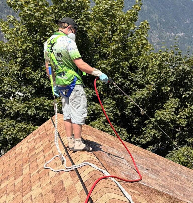 Roof cleaning and moss removal in the West Kootenays