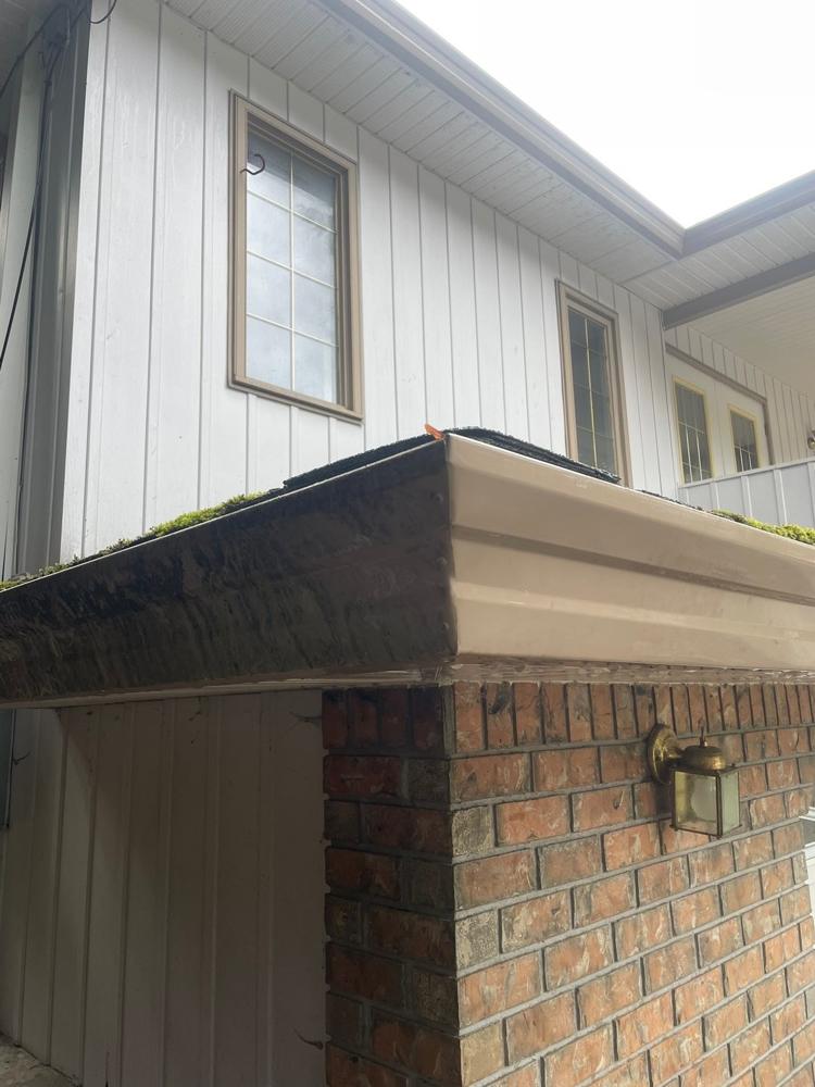 Gutter cleaning service